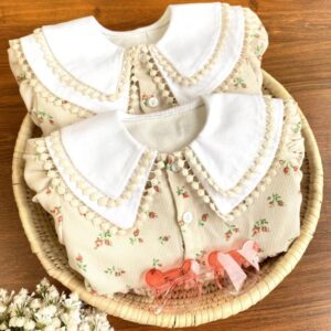 پیراهن دِلاریس